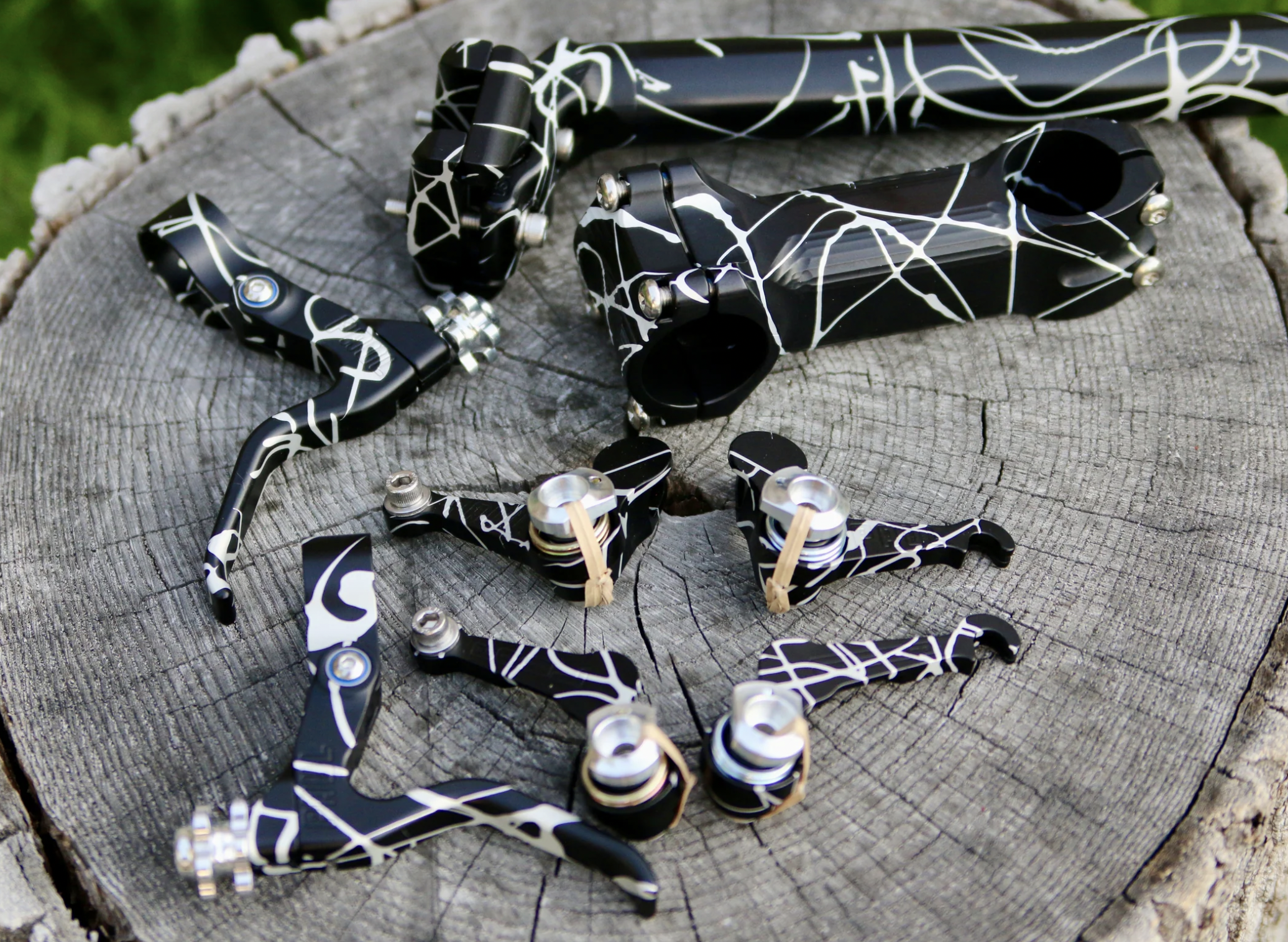 10% Off the Fissa, Custom Bike Love, and Paul Zebra Splatter